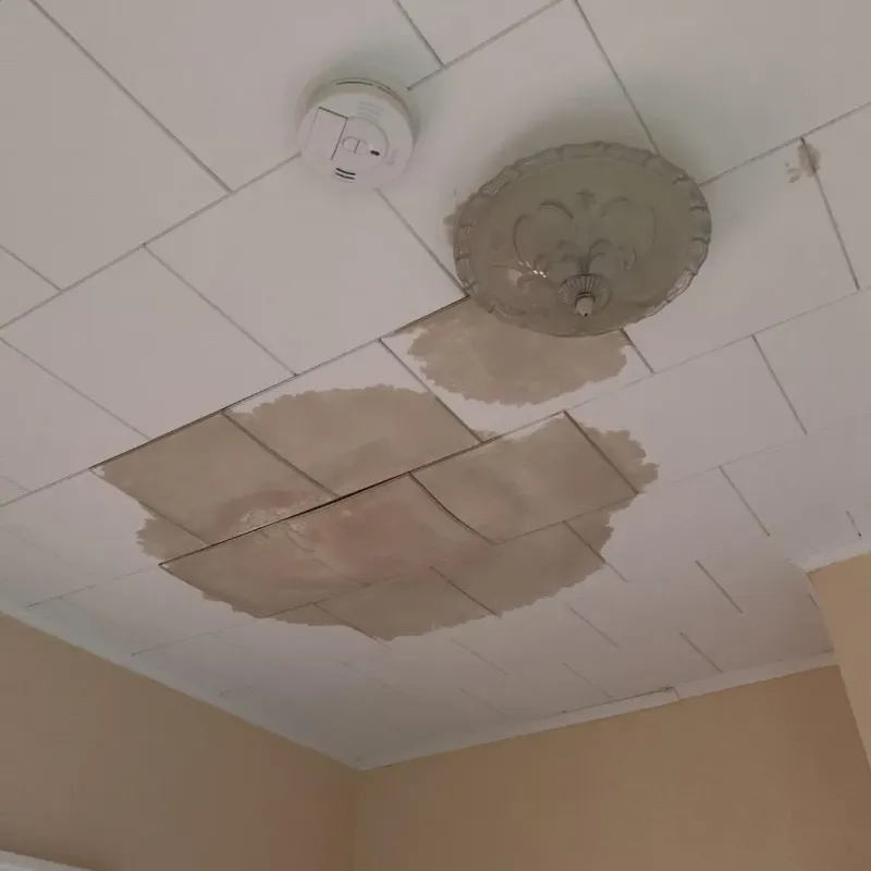 Ceiling Water Damage Repair in Harwich Port, MA
